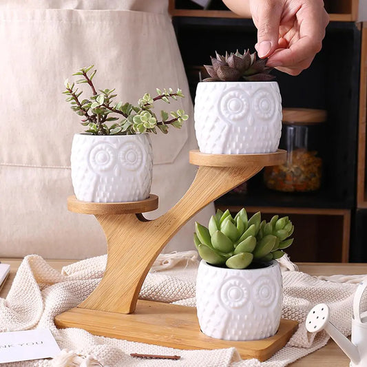 3pcs Owl Succulent Pots with 3-Tier Bamboo Stand